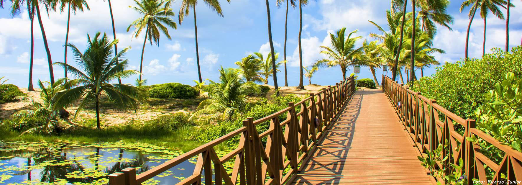 A natureza exuberante de Costa de Sauípe